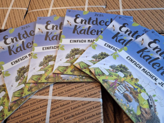 Mehrere Entdecke-Kalender von Pindactica liegen auf Kartons