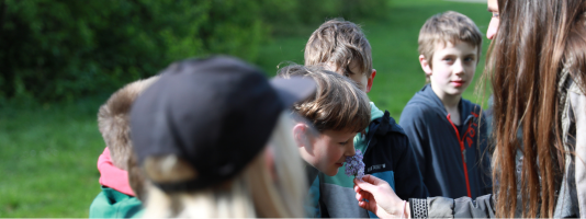 Eine Nemo-Naturpädagogin hält eine Pflanze in der Hand, an der ein Kind riecht. Weitere Kinder stehen drumherum und schauen zu. 